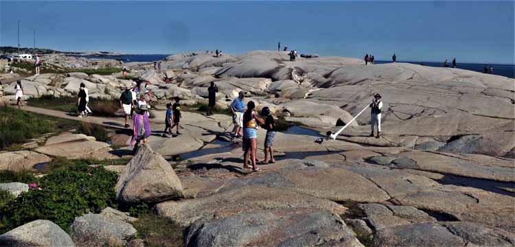 peggy's cove